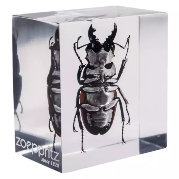 zoeppritz Jags Friends Deko Briefbeschwerer Farbe schwarz
