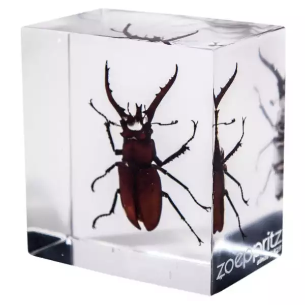 zoeppritz Jags Friends Deko Briefbeschwerer Farbe rot