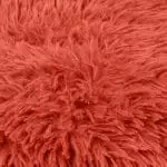 Cushion cover from polyster, coral in 30x50cm, zoeppritz Reborn